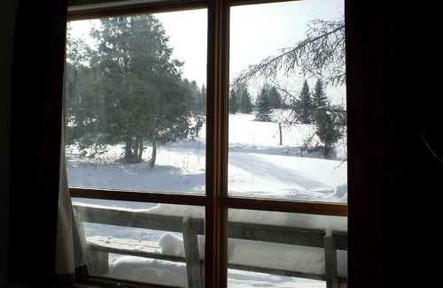 Craftsbury Village Cabin | All Season Pet-Friendly Cabin Rental with Full Kitchen in the Northeast Kingdom of Vermont