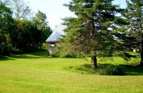 Craftsbury Village Cabin | All Season Pet-Friendly Cabin Rental with Full Kitchen in the Northeast Kingdom of Vermont