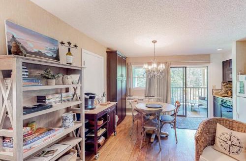 Lake Lure House | Apple Valley Treetop Villa