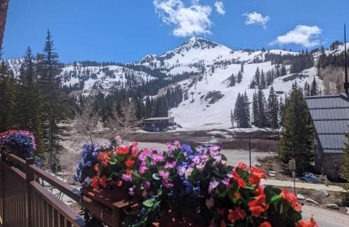 Salt Lake Mountain Resorts House | Brighton Ski Resort Hidden Falls 1 Bedroom Chalet Utah