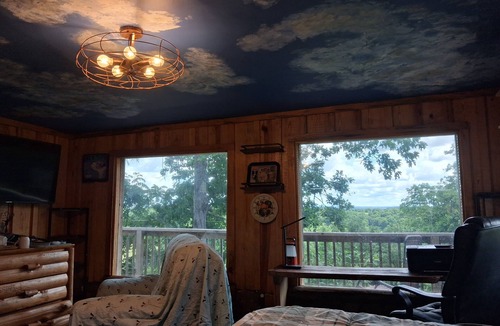 Yellville Cottage | Canine Retreat Tiny House Overlooking the Bluff