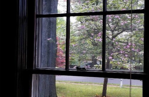 Ellendale House | Country Living in the City, Relax!