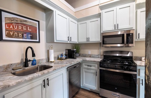 Laurel Apartment | Downtown Laurel, Ground Level, No Stairs, King Bed