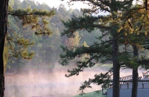 Caddo Gap Cabin | Eagle’s Nest Cabin Private Forest Stay