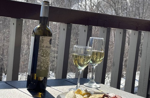 West Dover Apartment | Gorgeous ski retreat apartment with fireplace and Mountain View.