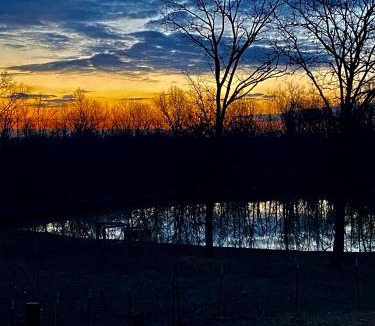Tiff Other | Hawks Bluff Farm