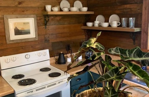 Eureka Springs Cabin | Log Cabin with Full Kitchen, Hot Tub, Fireplace, King + Pullout