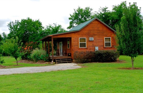 Bonnerdale Cabin | Morningstar Cabin Caddo River. GREAT VALUE! River access!