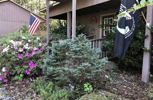 Mount Ida Cabin | Mountain Cabin with Forest Views by South Fork Ouachita River, Arkansas