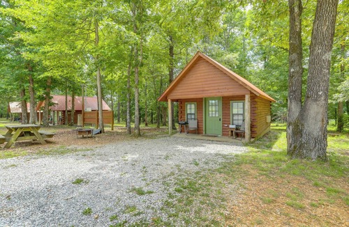 Newnata Apartment | Near Trails! Ozark Mtn Hideaway w/Fire Pit, Grill