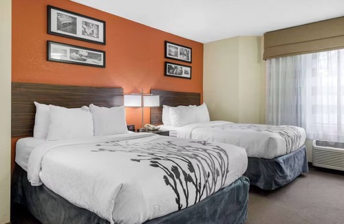 Bayou Oaks Hotel | Pet-Friendly Room Stay Close to Sarasota’s Attractions – Ideal for Families!