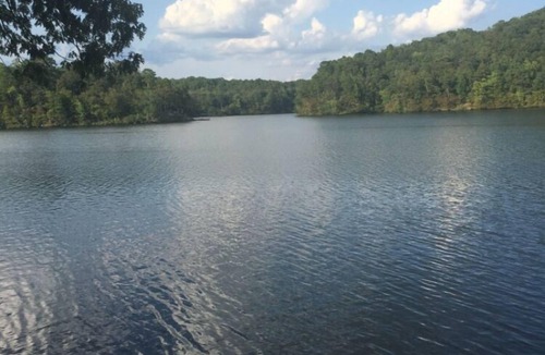 Jones Mills House | Relaxing Retreat on Lake Catherine in Hot Springs!