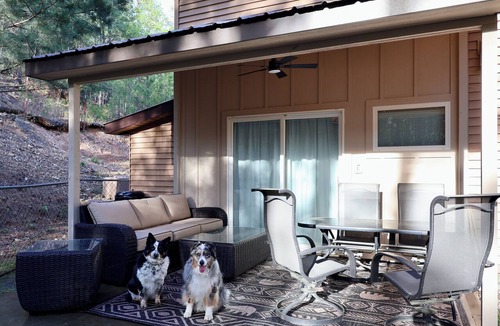 Hot Springs Village Cabin | Secluded, Modern Cabin near Hot Springs Village, Oaklawn, HSParks, Lakes, Trails