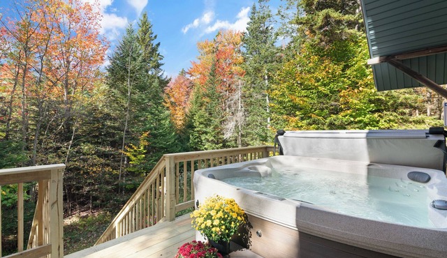 Chalet 1mi to Mount Snow with cinema and hot tub
