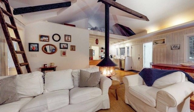 Cottage in the woods with a firepit, grill, washer/dryer, & AC - dog-friendly
