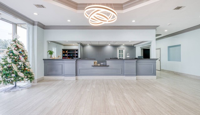 Hotel elev8