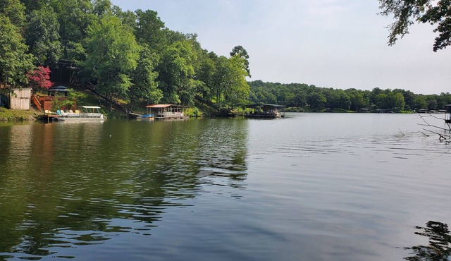 Lake Catherine Nature Getaway with Private Boat Slip