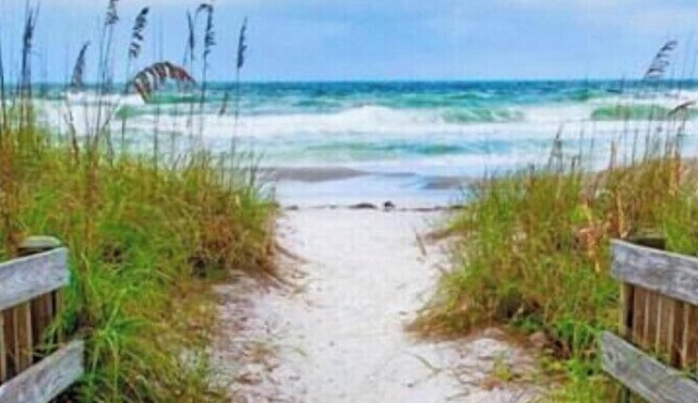 Mi Casa Su Casa Hideaway. 15 min. to Siesta Key Beach. Min 2 Downtown sarasota