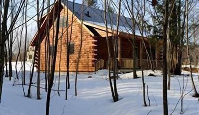 Muddy Moose