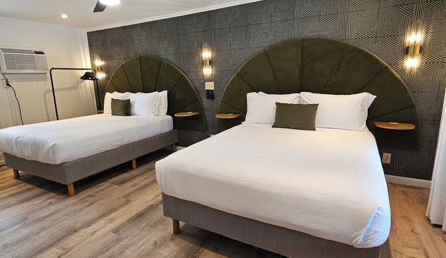 Newly-renovated Double Queen Hotel Room