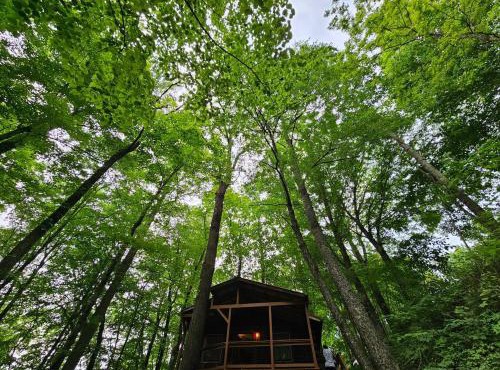 Romantic Summer Couples Escape, Private Hot Tub, EV Station, Fast 600 Mbps WiFi