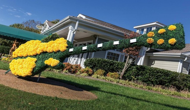 Southern Comfort in Music City – 2-Bedroom at Club Wyndham Nashville