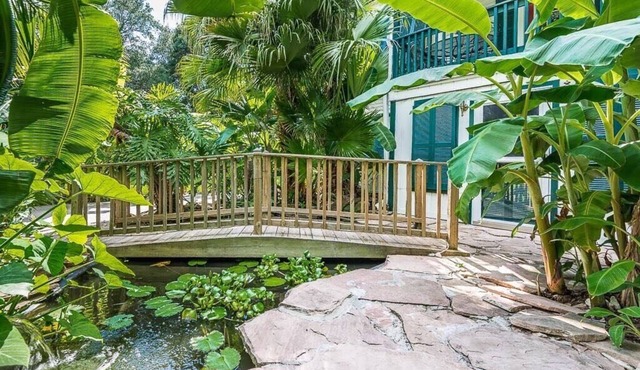 Tropical Oasis By the Bay