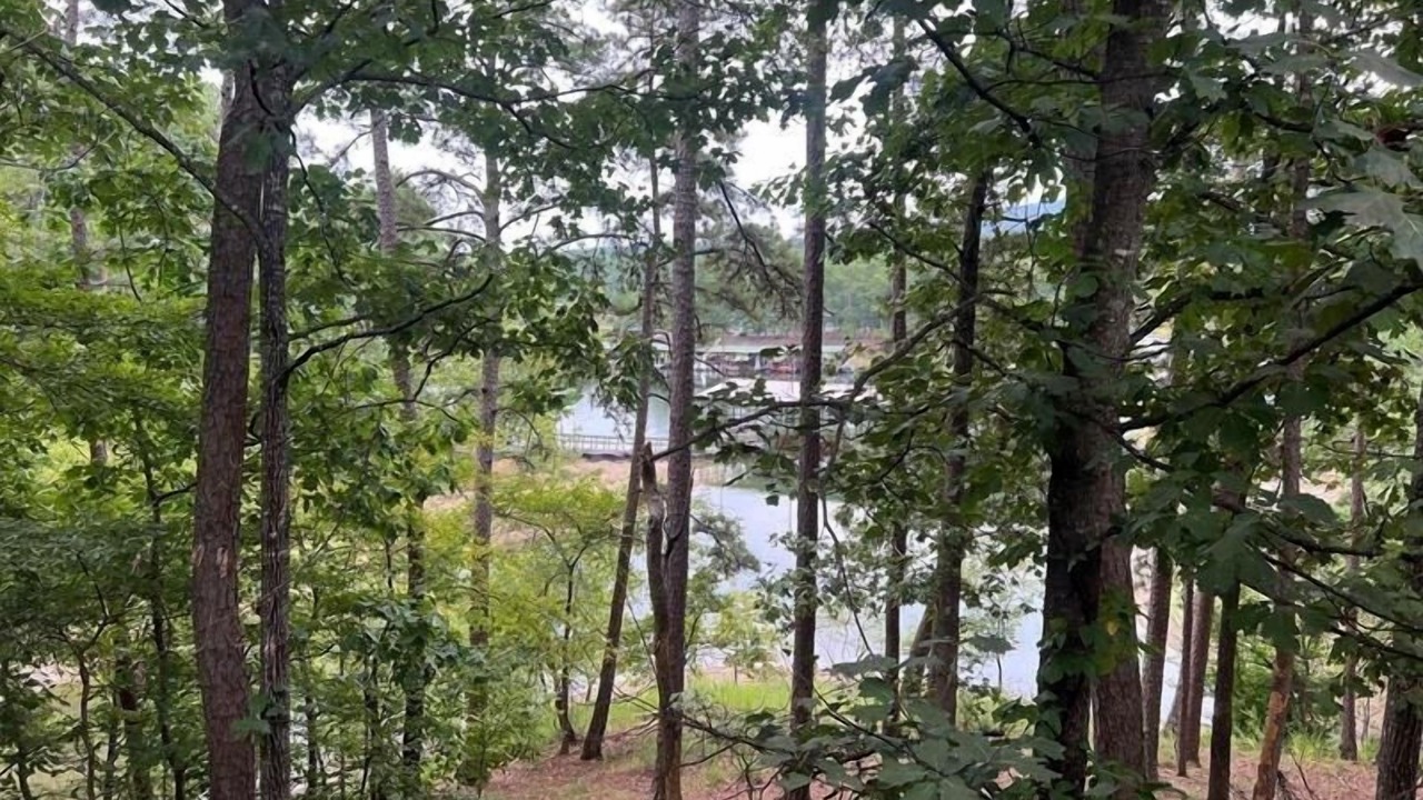 Photo of Others in Mount Ida