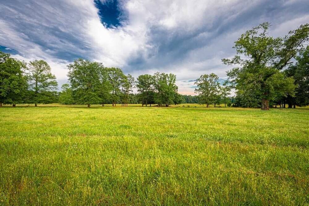 Photo of Others in McCurtain County