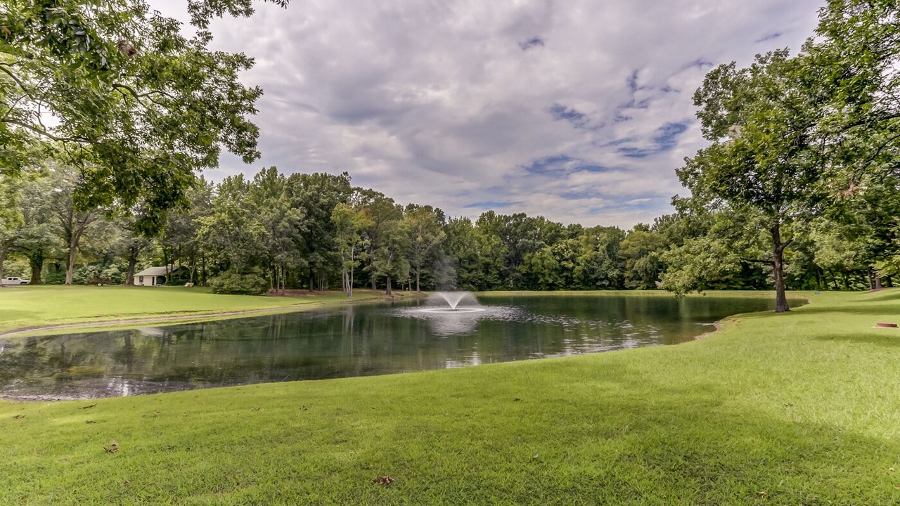 Photo of Outdoor in Nesbit