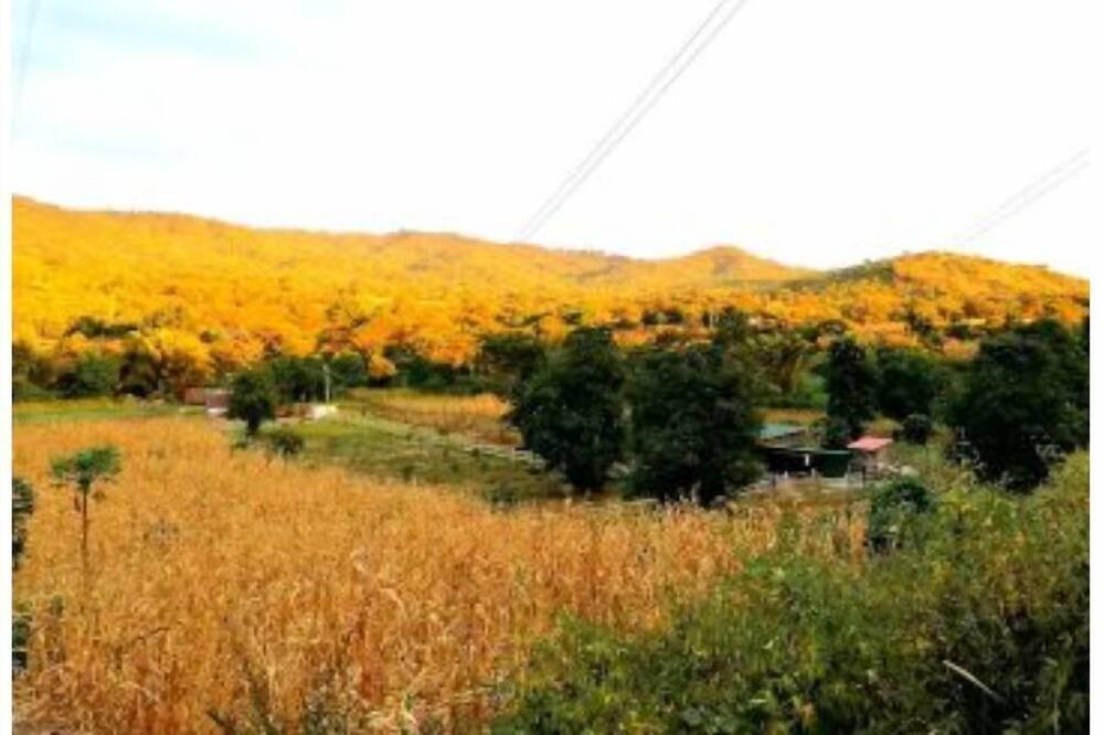 Photo of Outdoor in Van Buren