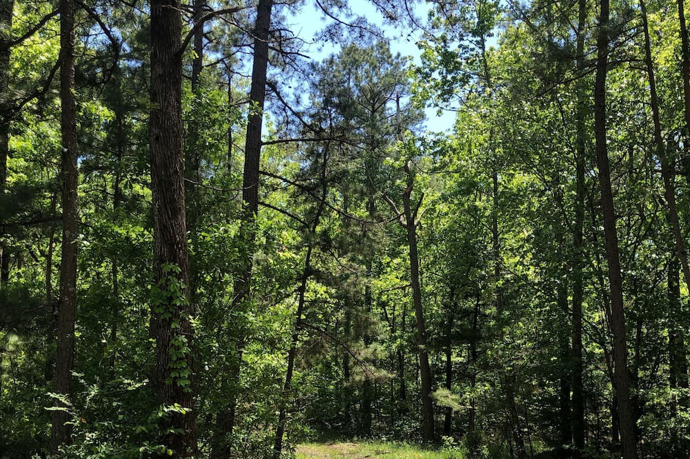 Photo of Outdoor in Boles