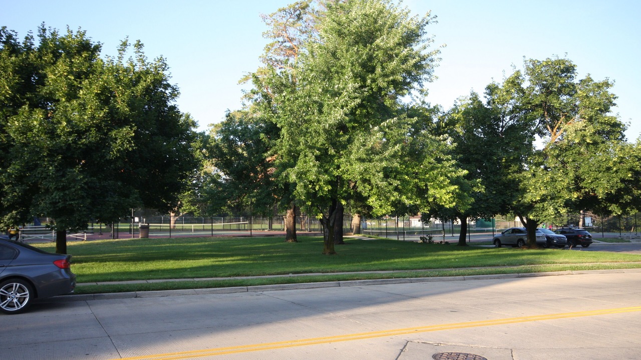 Photo of Others in Bountiful