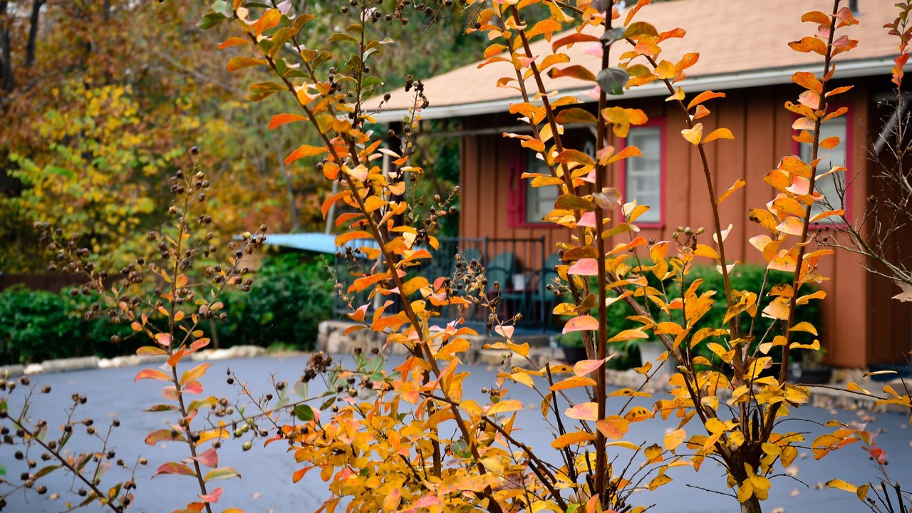 Photo of Outdoor in Mountain Home