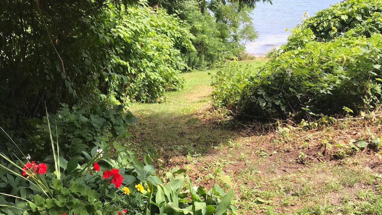 Photo of Outdoor in North Lake George
