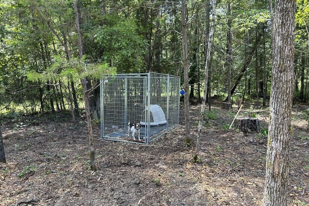 Photo of Outdoor in Starkville
