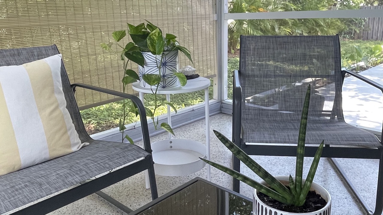 Photo of Patio Balcony in Arlington Park
