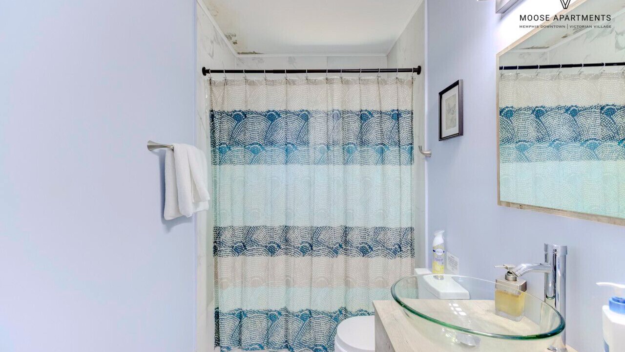 Photo of Bathroom in Downtown Memphis