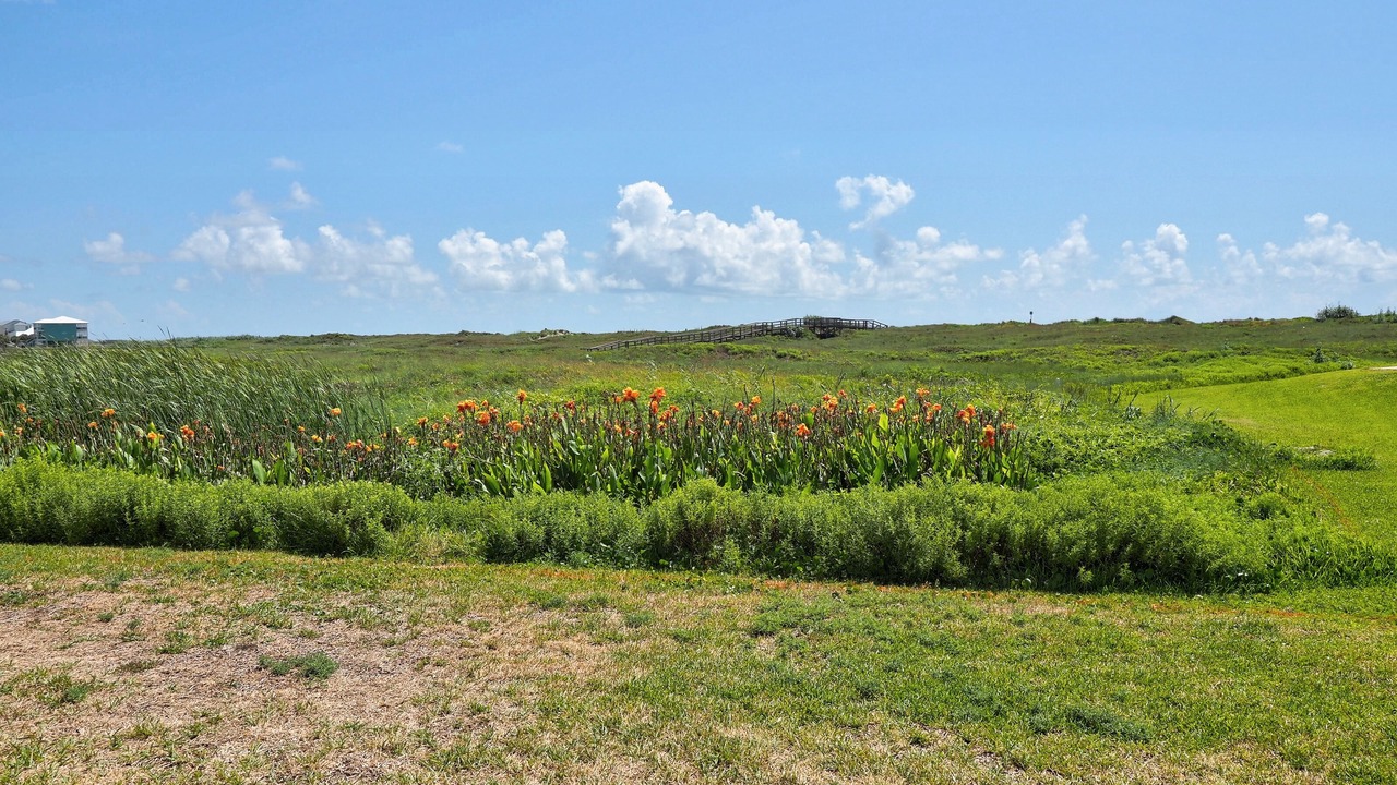 Photo of Others in Shibui Sands