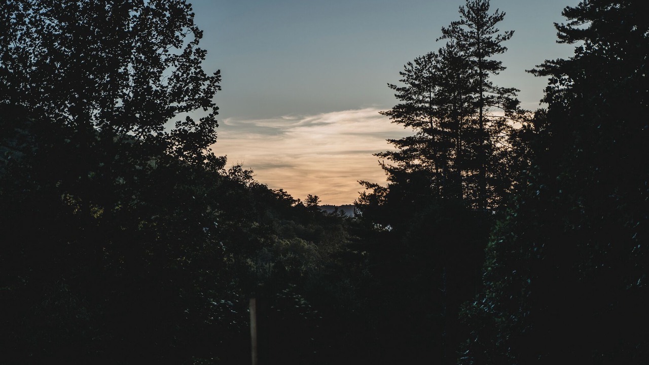 Photo of Outdoor in Penrose