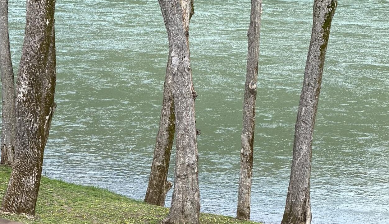 Photo of Others in Lone Rock