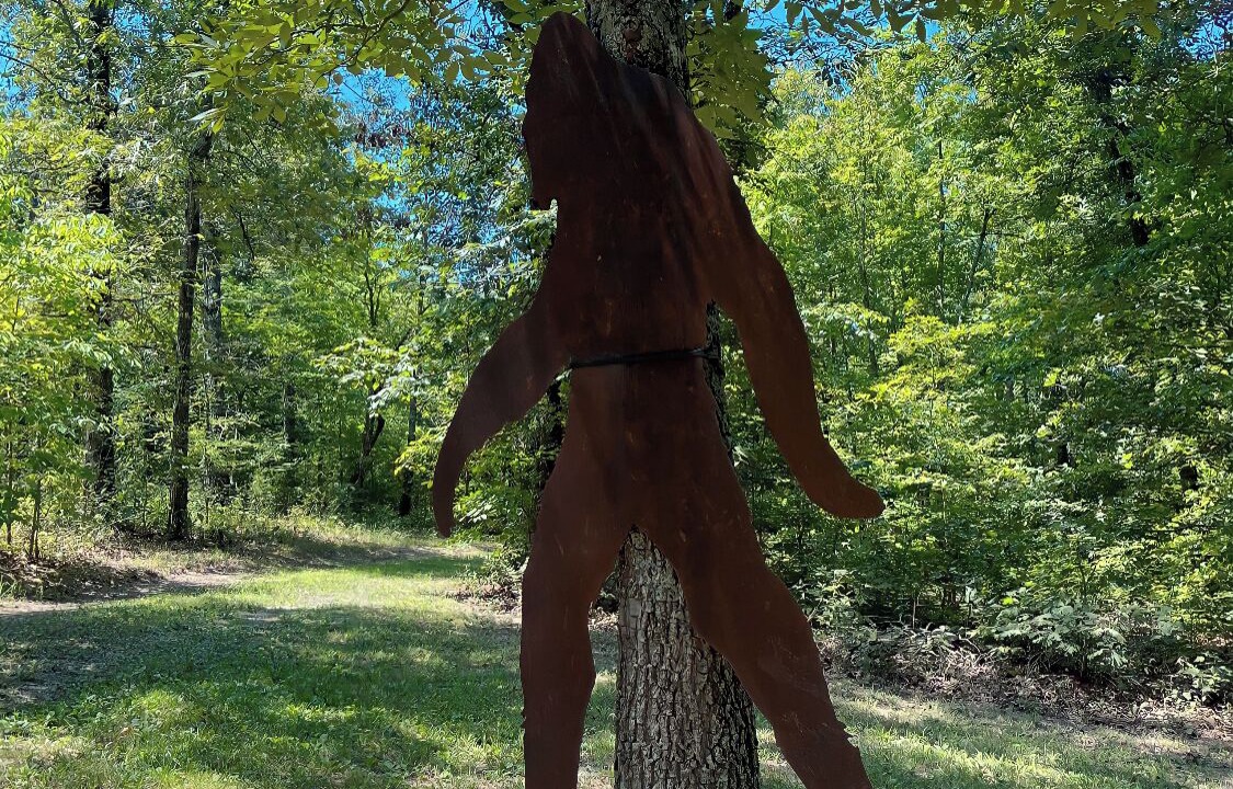 Photo of Outdoor in Saint Joe