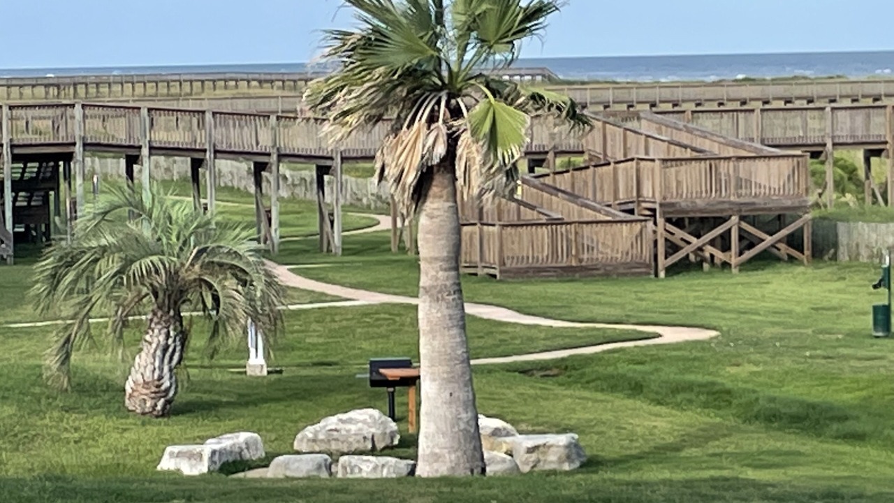 Photo of Others in Red Fish Cove