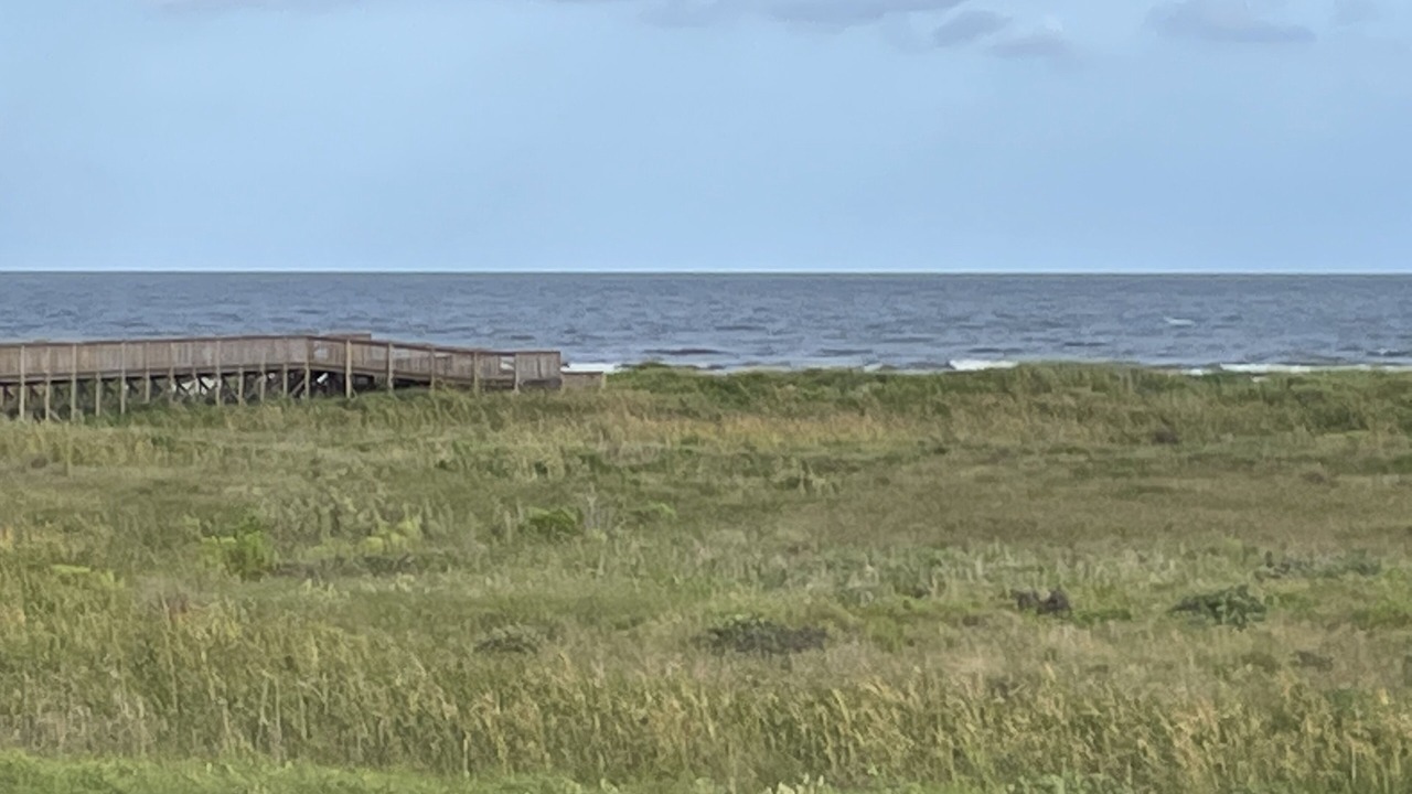 Photo of Others in Red Fish Cove