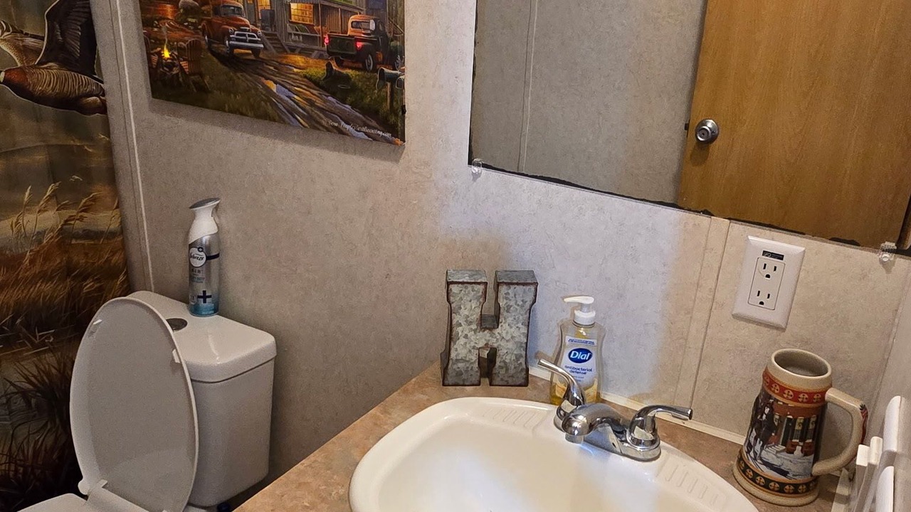 Photo of Bathroom in Hornbeak