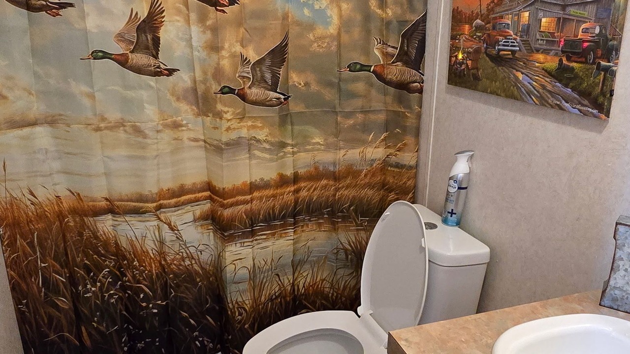 Photo of Bathroom in Hornbeak