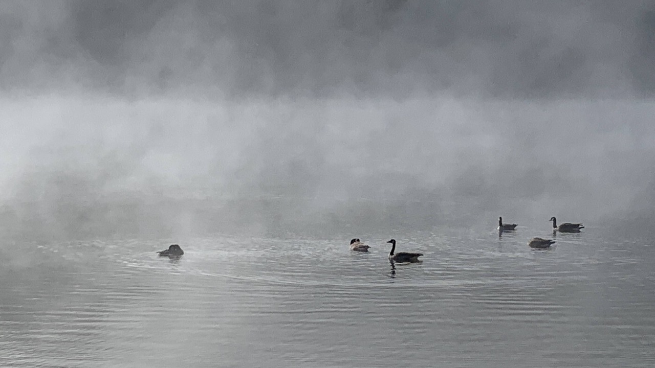 Photo of Others in Jones Mills