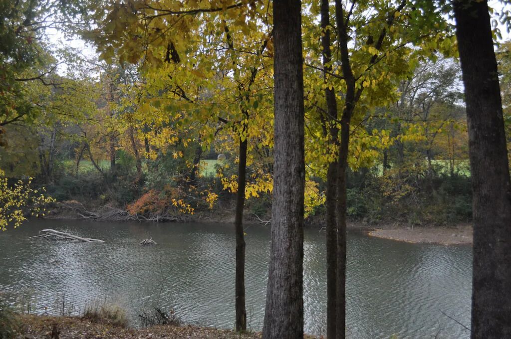 Photo of Others in Smithville
