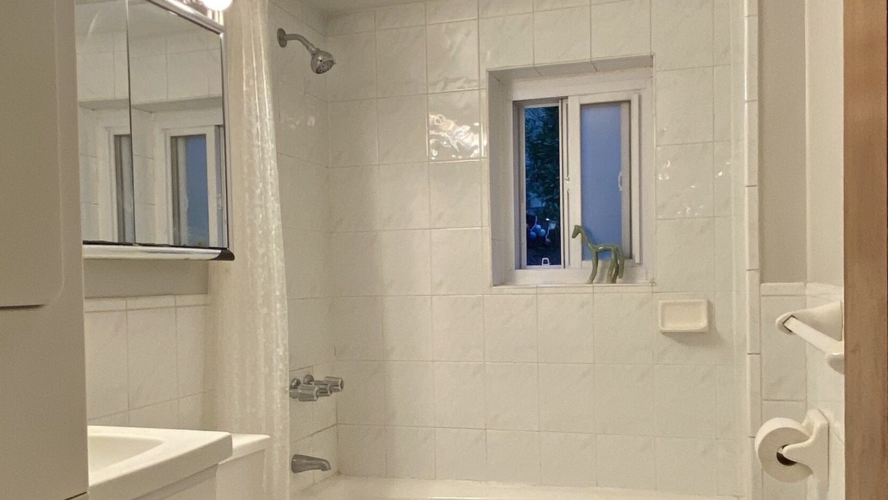 Photo of Bathroom in Gowanus