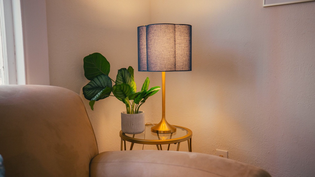 Photo of Livingroom in Hillsboro Village